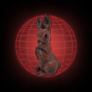 Lucy The Rabbit