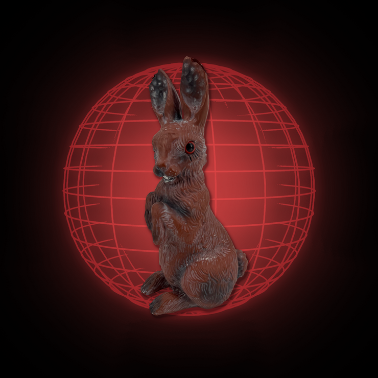 Lucy The Rabbit