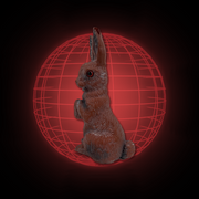 Lucy The Rabbit