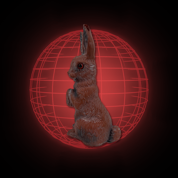 Lucy The Rabbit