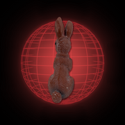 Lucy The Rabbit