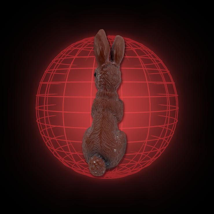 Lucy The Rabbit