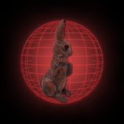 Lucy The Rabbit