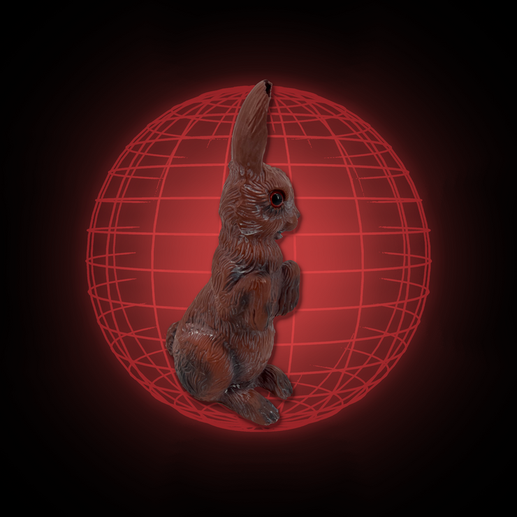 Lucy The Rabbit