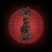 Lucy The Rabbit