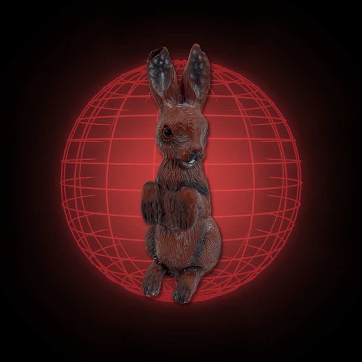 Lucy The Rabbit